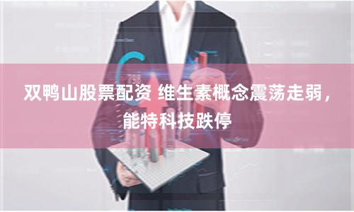双鸭山股票配资 维生素概念震荡走弱，能特科技跌停