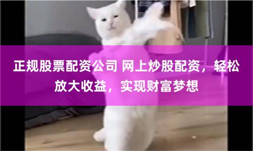 正规股票配资公司 网上炒股配资，轻松放大收益，实现财富梦想